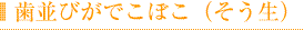 歯並びがでこぼこ（そう生）