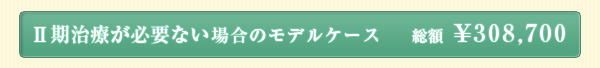 II期治療が必要ない場合のモデル 総額 ¥308,700