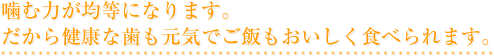 噛む力が均等になります。だから健康な歯も元気でご飯もおいしく食べられます。